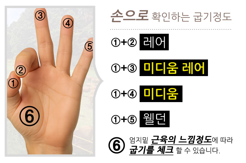 08hand.jpg